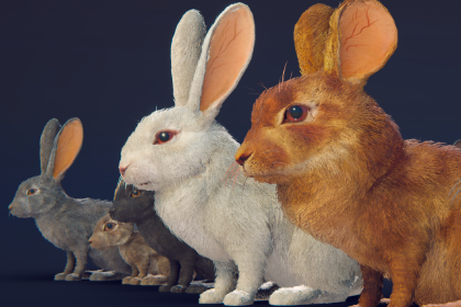 写实风格兔子 (Realistic Rabbit)