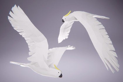 Low Poly Bird: Cockatoo