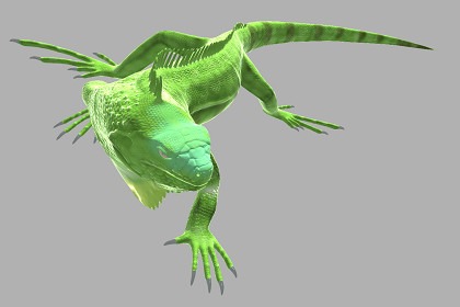 鬣蜥3D模型及动画资源包—Iguana