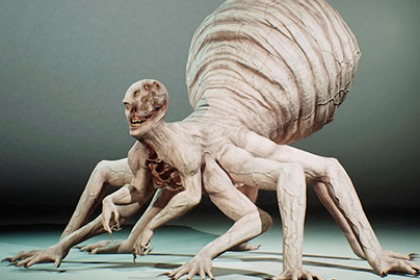 蜘蛛怪物 Spider Monster