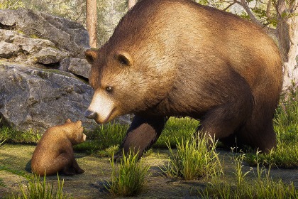 写实风格的熊 (Realistic Bear)