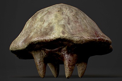 蘑菇怪物2 - 风格化奇幻生物 (Mushroom Monster2 - Stylized Fantasy Creature)