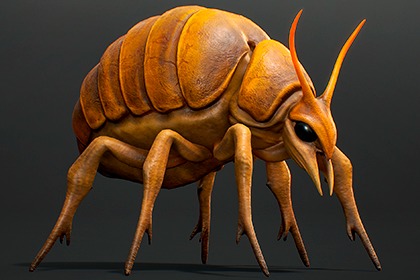 探索甲虫 - 风格化奇幻生物 (Seeker Beetle - Stylized Fantasy Creature)