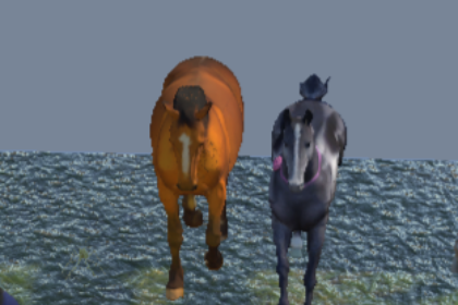 13个动物模型(animals 3D Model)