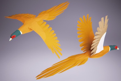 Low Poly Bird: Pheasant