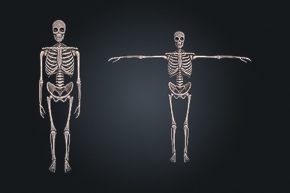 Skeleton Bone V1（骷髅骨骼）– 地牢 | 游戏就绪 PBR | 兼容 Built-in 与 URP