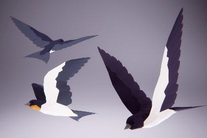 Low Poly Bird: Swallow