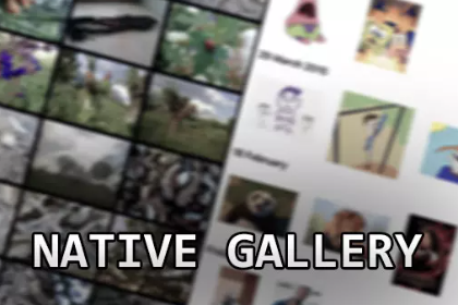 Native Gallery for Android & iOS