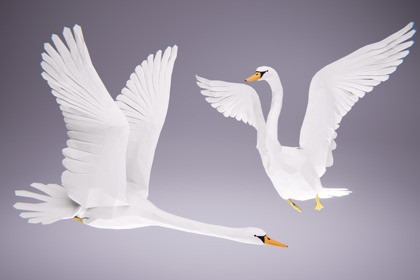 Low Poly Bird: Swan