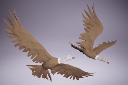 Low Poly Bird: Vulture