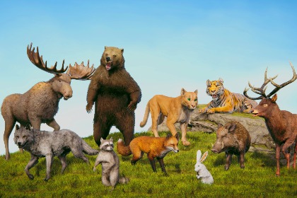 写实风格森林动物套装 (Realistic Animal Forest Set)