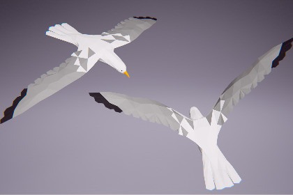 Low Poly Bird: Seagull