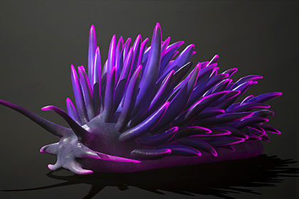 猩红女士 - 风格化水生生物 (Scarlet_Lady - Stylized Aquatic Creature)
