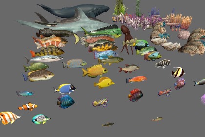 沉浸式海底世界搭建工具包Ocean Environment Pack