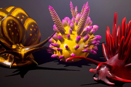 海蛞蝓套装 - 风格化水生生物 (Sea Slugs Pack - Stylized Aquatic Creatures)