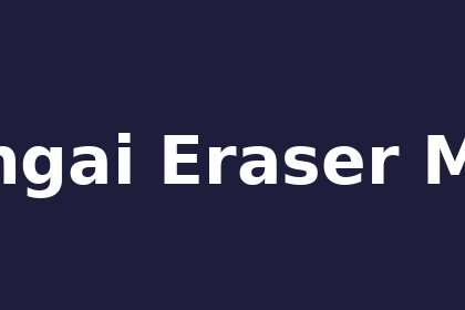 inference-engine-eraser-migan