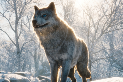 写实风格的狼 (Realistic Wolf)