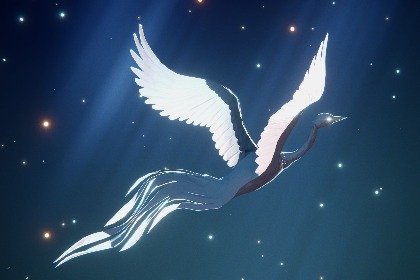 Low Poly Legend: Bird of Paradise