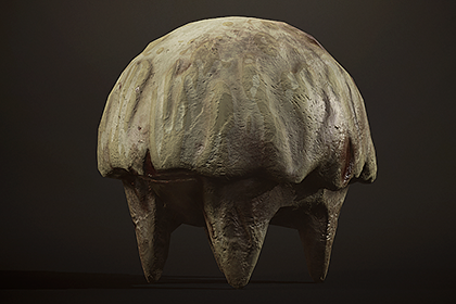 蘑菇怪物1 - 风格化奇幻生物 (Mushroom Monster1 - Stylized Fantasy Creature) 