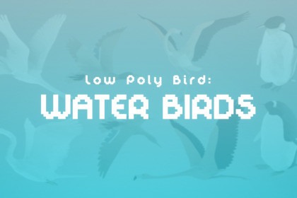 Low Poly Bird: Water Birds Pack