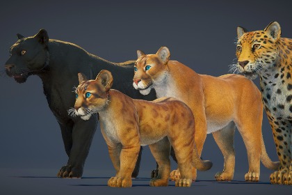 写实风格美洲狮 - 黑豹 (Realistic Cougar - Panther)