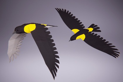 Low Poly Bird: Oriole