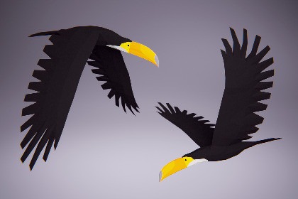 Low Poly Bird: Tucan