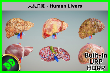 人类肝脏 - Human Livers