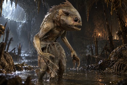 Troglodyte斯皮尔曼