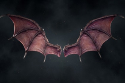 Demon Wings