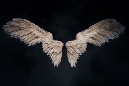Angel Wings