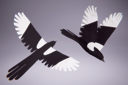 Low Poly Bird: Magpie