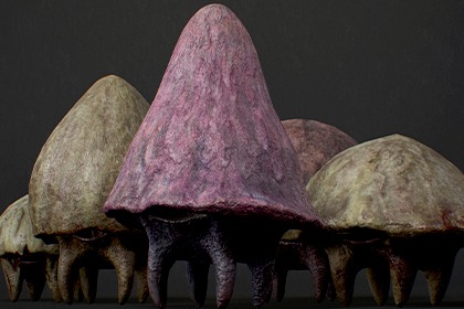 蘑菇怪物1套装 - 风格化奇幻生物 (Mushroom Monsters1 Pack - Stylized Fantasy Creatures)